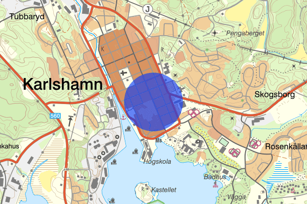 Regeringsgatan 01 februari 02.08, Skadegörelse, Karlshamn