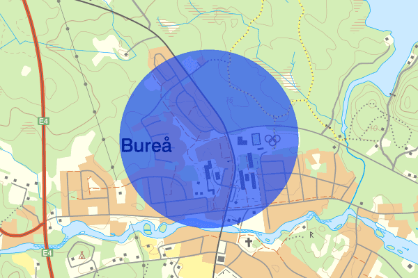 Norra Kustvägen 07 februari 10.50, Trafikolycka, vilt, Skellefteå