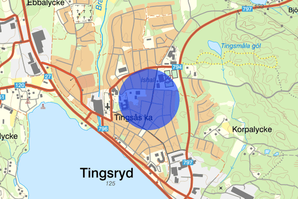 Torggatan 08 februari 12.30, Räddningsinsats, Tingsryd