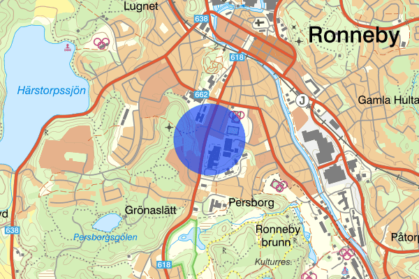 Blasius Königsgatan 12 februari 03.03, Rattfylleri, Ronneby
