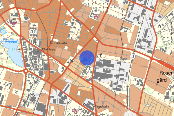 Sofielundsvägen 15 februari 16.58, Misshandel, Malmö