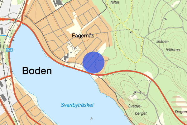 Hemvägen 27 februari 13.15, Trafikkontroll, Övertorneå