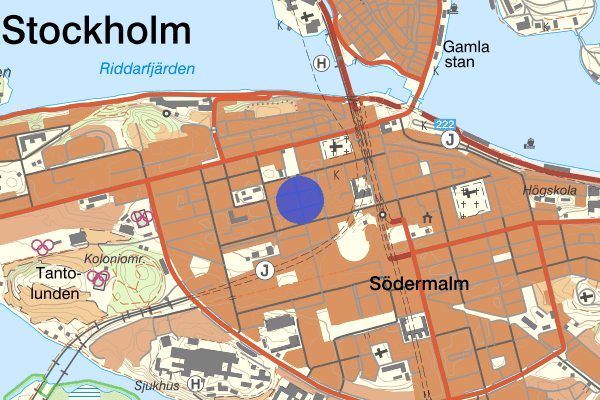 Swedenborgsgatan 02 mars 17.16, Misshandel, Stockholm