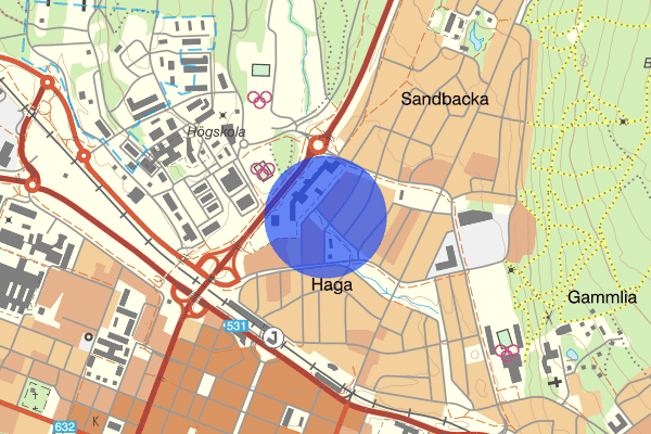 Norra Majorsgatan 03 mars 17.32, Trafikkontroll, Umeå