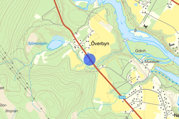 Umeås äldsta björk 10 mars 16.04, Stöld, Umeå