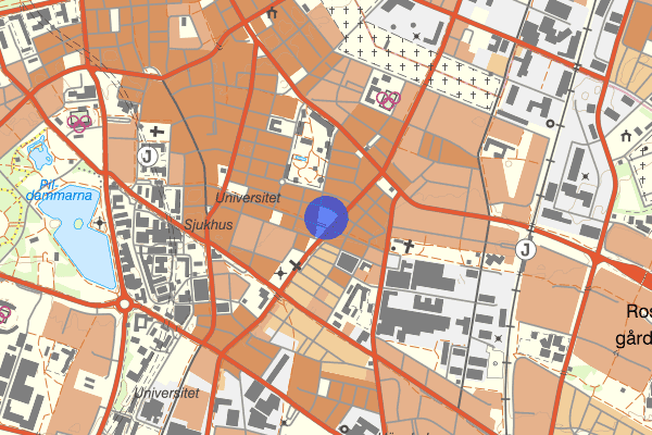 Jesusparken 10 mars 19.49, Bråk, Malmö