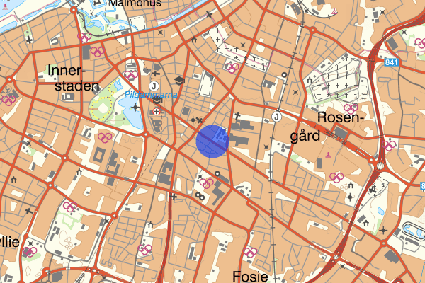 Lönngatan 11 mars 12.39, Försvunnen person, Malmö