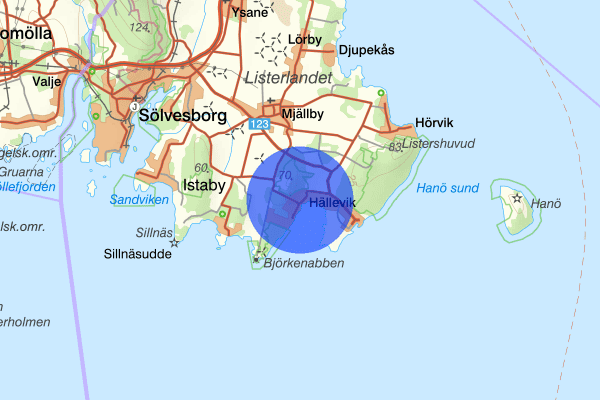 Hällevik 13 mars 21.01, Vapenlagen, Sölvesborg
