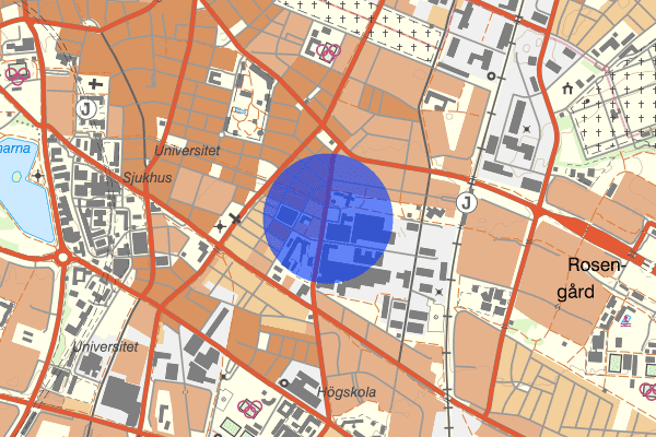 Lantmannagatan 14 mars 13.58, Misshandel, Malmö