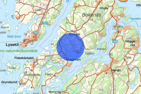 Bergsliden 21 mars 18.56, Brand, Falköping