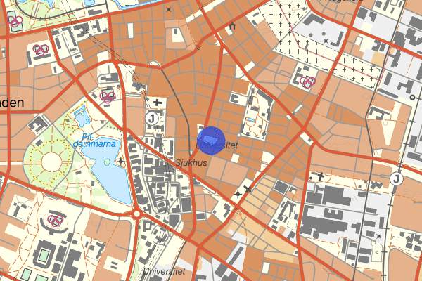 Möllevångstorget 21 mars 19.20, Misshandel, Malmö