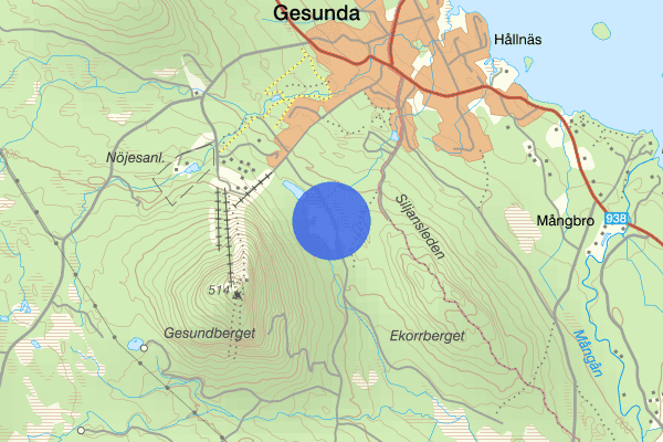 Rödmyren 23 mars 18.40, Försvunnen person, Mora
