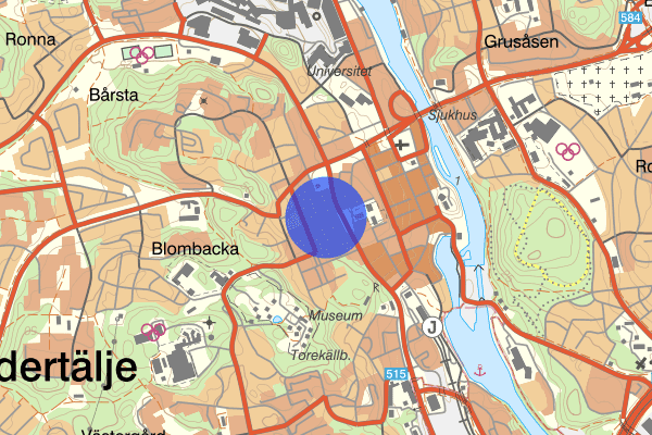 Dalgatan 14 april 18.14, Misshandel, grov, Södertälje