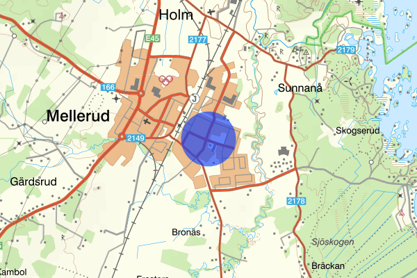 Storgatan 18 april 15.29, Misshandel, grov, Mellerud