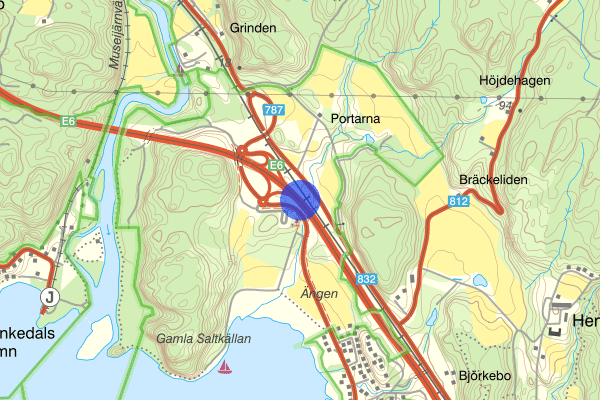 Saltkällemotet 13 maj 19.34, Trafikolycka, Munkedal
