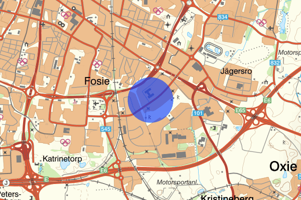 Agnesfridsvägen 19 maj 09.00, Försvunnen person, Malmö