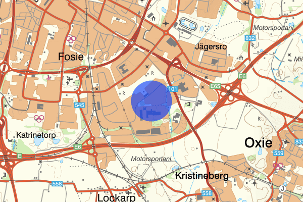 Kantyxegatan 25 maj 20.28, Misshandel, grov, Malmö