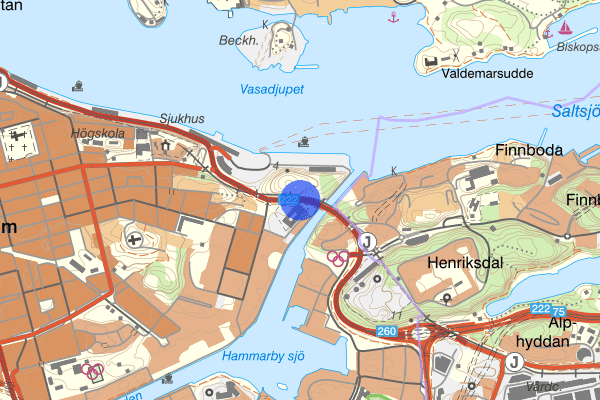 Folkungagatan 29 maj 11.43, Narkotikabrott, Stockholm