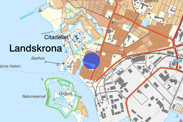 Kungsgatan 07 juni 15.49, Djur, Landskrona