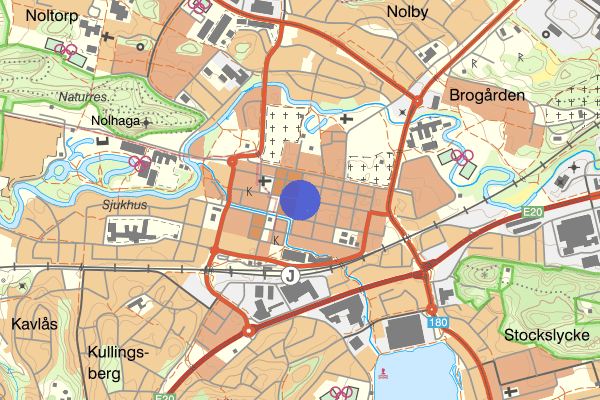 Kungsgatan 08 juni 19.41, Misshandel, Alingsås