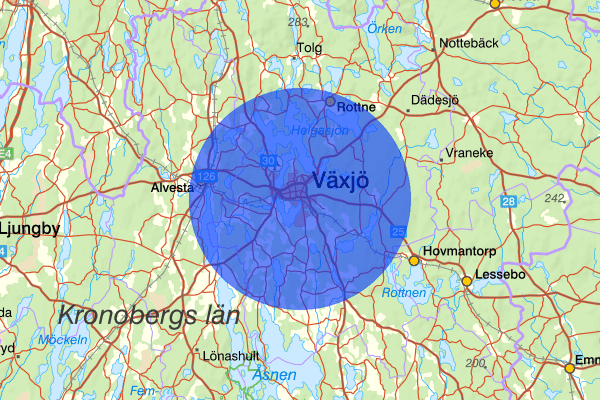 Växjö 09 juni 06.32, Misshandel, Växjö