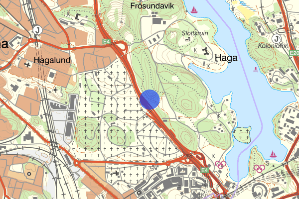 Hagaparken 19 juni 15.55, Djur, Solna