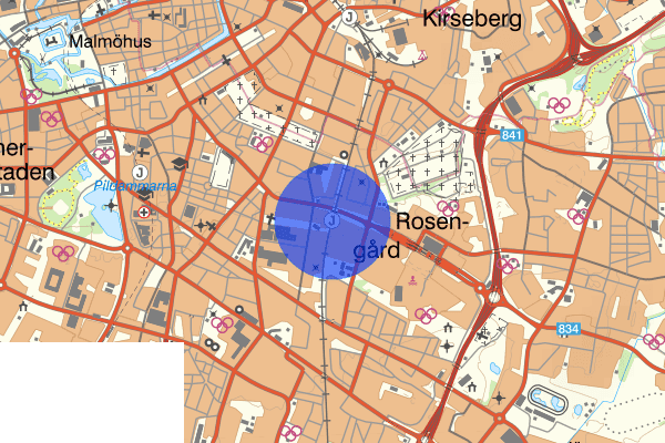 Rosengård 19 juni 18.42, Misshandel, Malmö