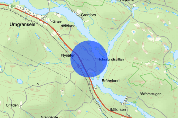 Nysätervägen 22 juni 18.42, Trafikolycka, vilt, Lycksele
