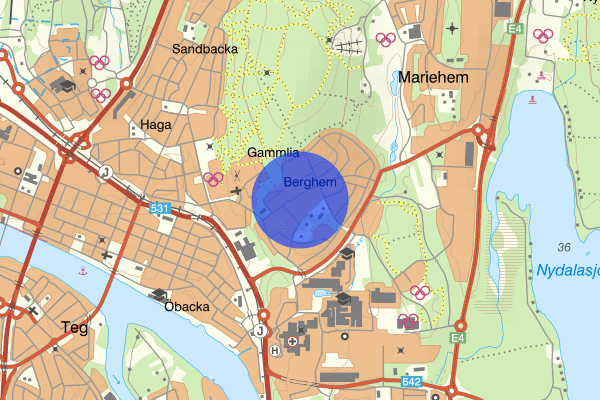 Nydalavägen 26 juni 08.40, Trafikolycka, Umeå