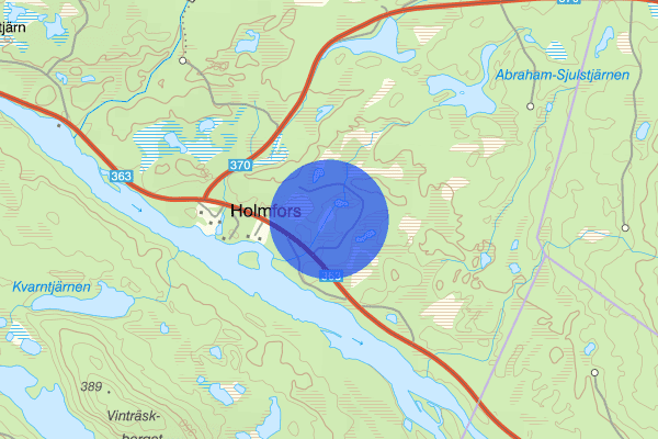 Gamla Malåvägen 26 juni 11.38, Trafikolycka, vilt, Malå