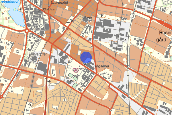 Köpmansgatan 29 juni 22.46, Trafikolycka, Båstad