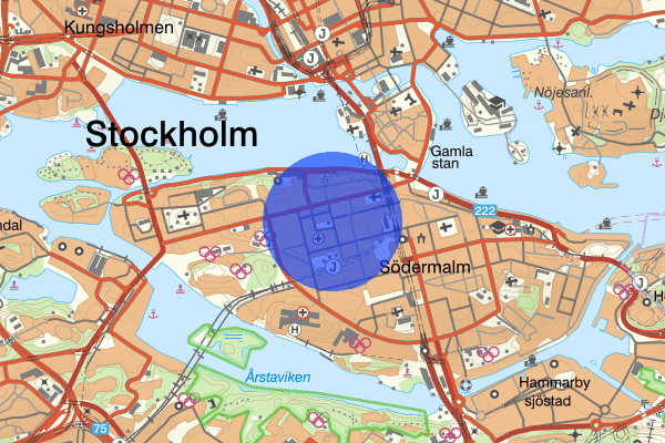 Mariatorget 2 juli 14.20, Trafikolycka, smitning från, Stockholm
