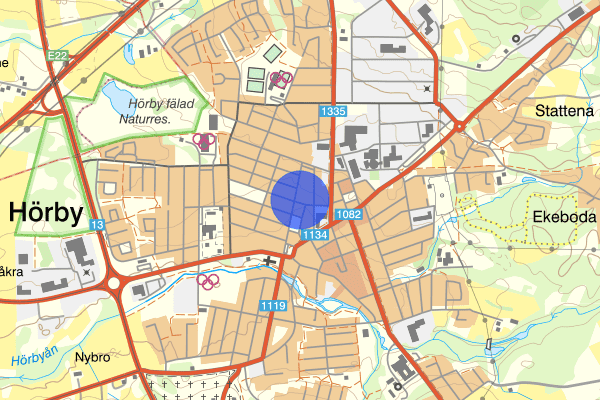 Prostgatan 7 juli 20.38, Bråk, Hörby
