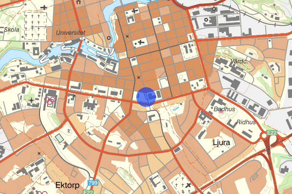 Drottninggatan 14 juli 19.49, Mord/dråp, försök, Norrköping