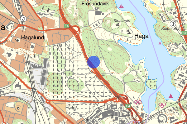 Hagaparken 15 juli 12.50, Misshandel, Solna