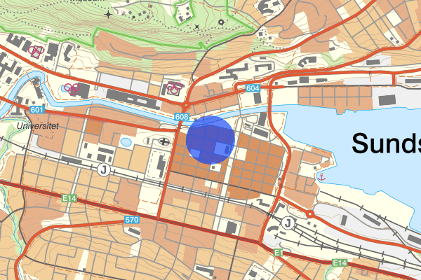 Storgatan 24 juli 08.17, Stöld/inbrott, Sollefteå