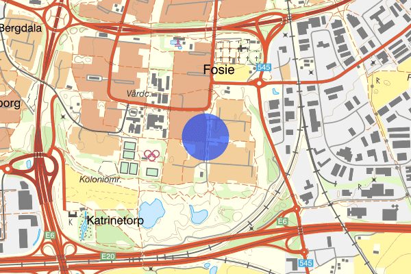 Gånglåtsvägen 31 augusti 20.07, Bråk, Malmö