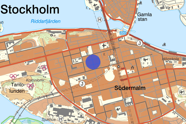Swedenborgsgatan 1 oktober 15.34, Trafikolycka, smitning från, Stockholm