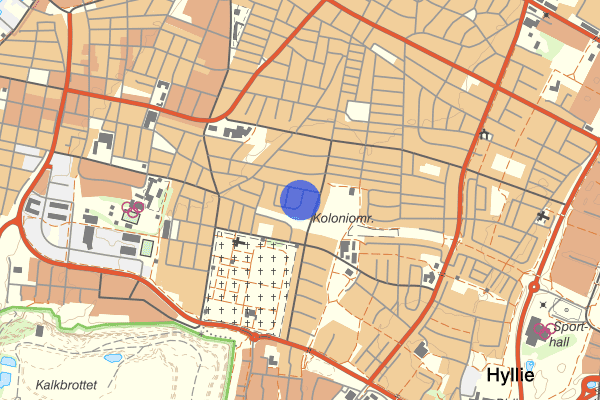 Prästgatan 20 oktober 00.46, Bråk, Helsingborg