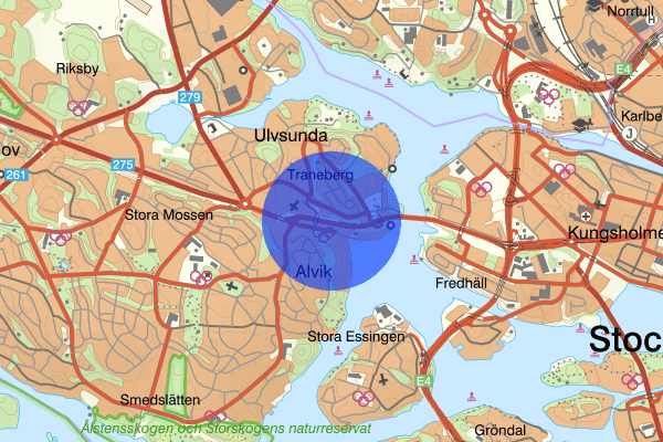 Alvik 27 oktober 16.54, Bedrägeri, Stockholm