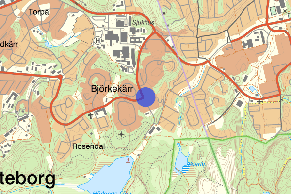Spåntorget 16 juni 18:45, Bråk, Göteborg