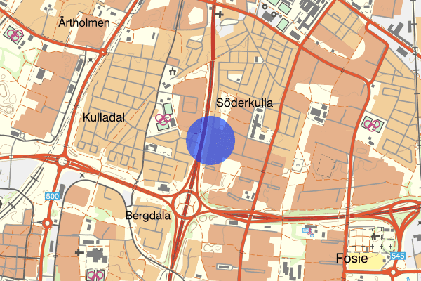 Södra Gulsparvsgatan 31 december 11.51, Skottlossning, Malmö