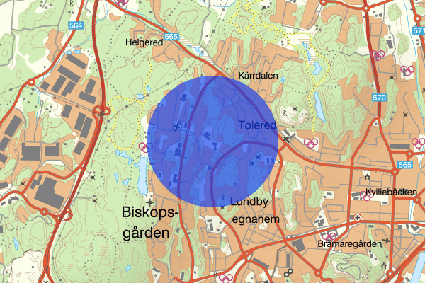 Svartedalen 31 december 11.11, Misshandel, Göteborg