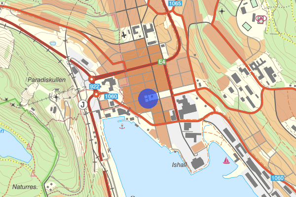 Stora Torget 04 januari 15.33, Övrigt, Örnsköldsvik