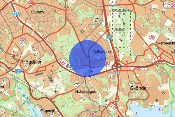 Gubbängen 05 januari 02.58, Stöld, Stockholm