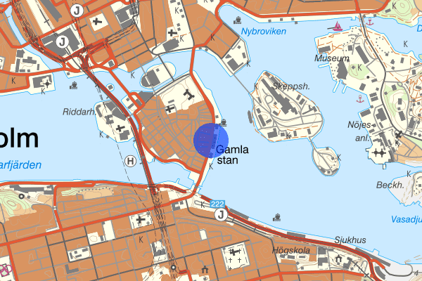 Skeppsbron 06 januari 04.18, Rattfylleri, Stockholm