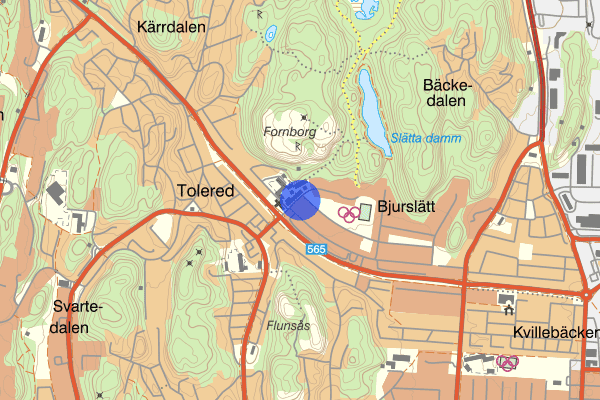 Toleredsgatan 12 januari 16.14, Trafikolycka, personskada, Göteborg