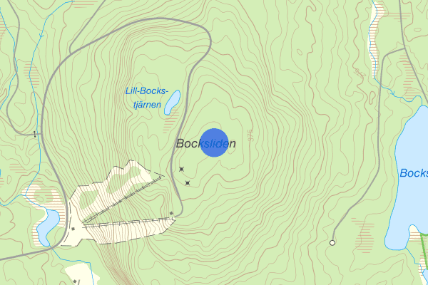 Bocksliden 17 januari 17.57, Trafikolycka, Lycksele