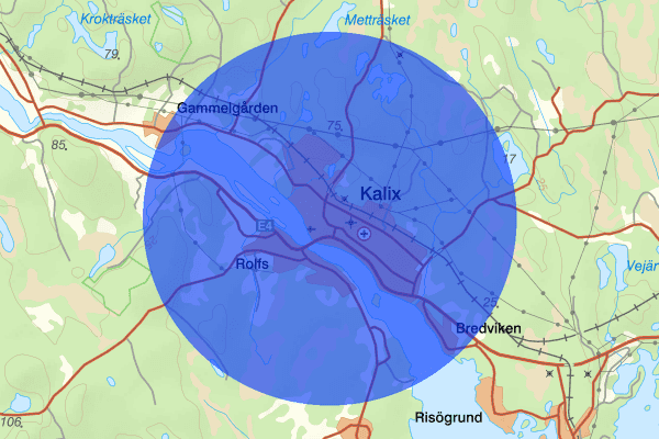 Kalix 19 januari 21.39, Trafikolycka, vilt, Norrbottens län