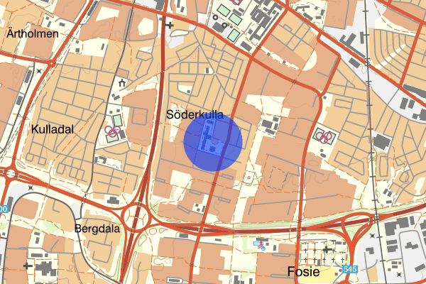 Söderkullagatan 20 januari 16.43, Misshandel, grov, Malmö